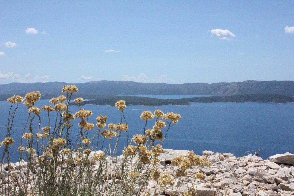 hvar